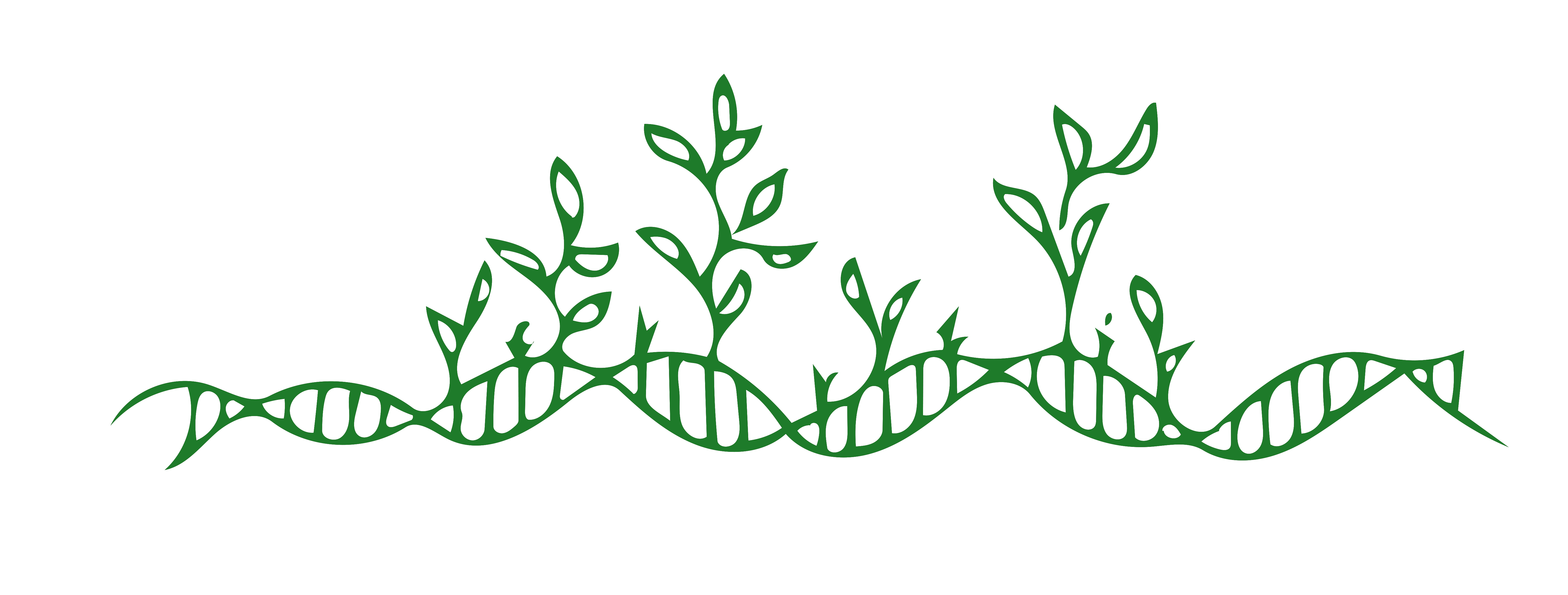 Genetically Modified Crops Facts Vs Fiction Spontaneous Order