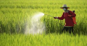 Pesticide ban