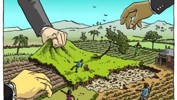 so musings: land reform-true and false - spontaneous order