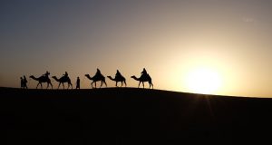 five camels in a desert with tourists on their back during sunset
