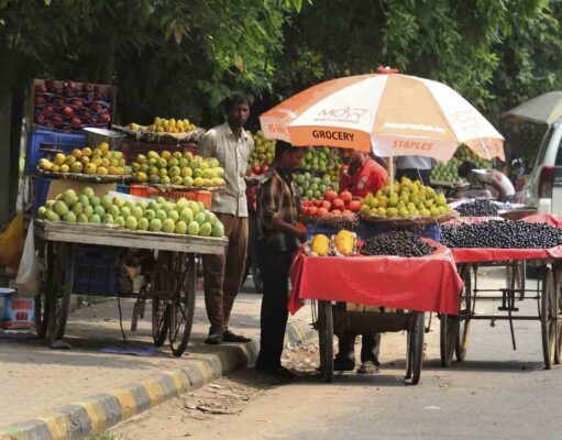The Paradox of Progress and Stagnation: Case of Street Vending in India